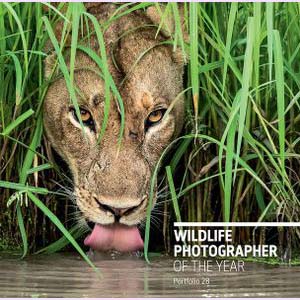 Portfolio 28: Wildlife Photographer of the Year